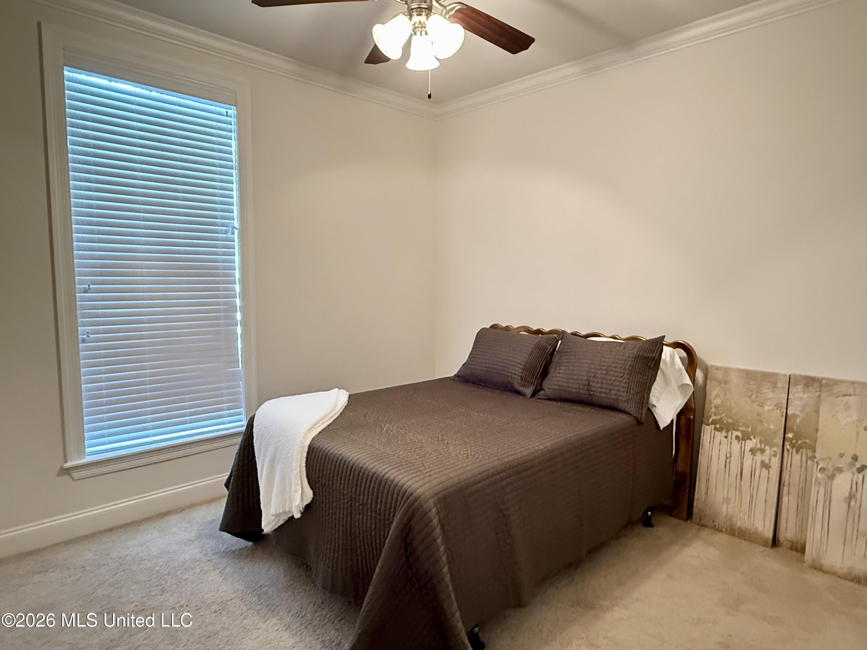 242 Falls Crossing Madison, MS 39110 - Photo 21 of 29 IMG_E9560