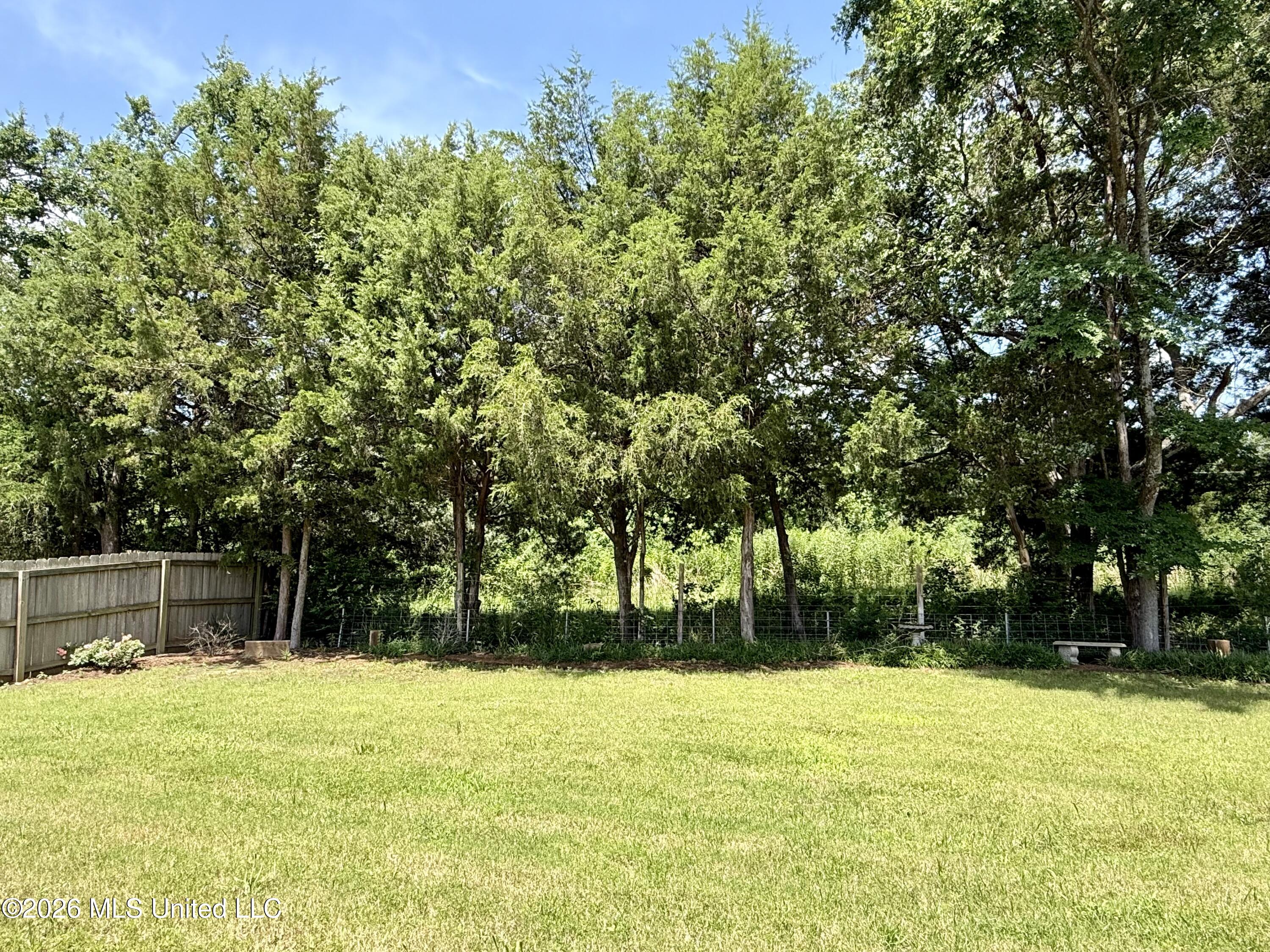 242 Falls Crossing Madison, MS 39110 - Photo 25 of 29 IMG_E9565