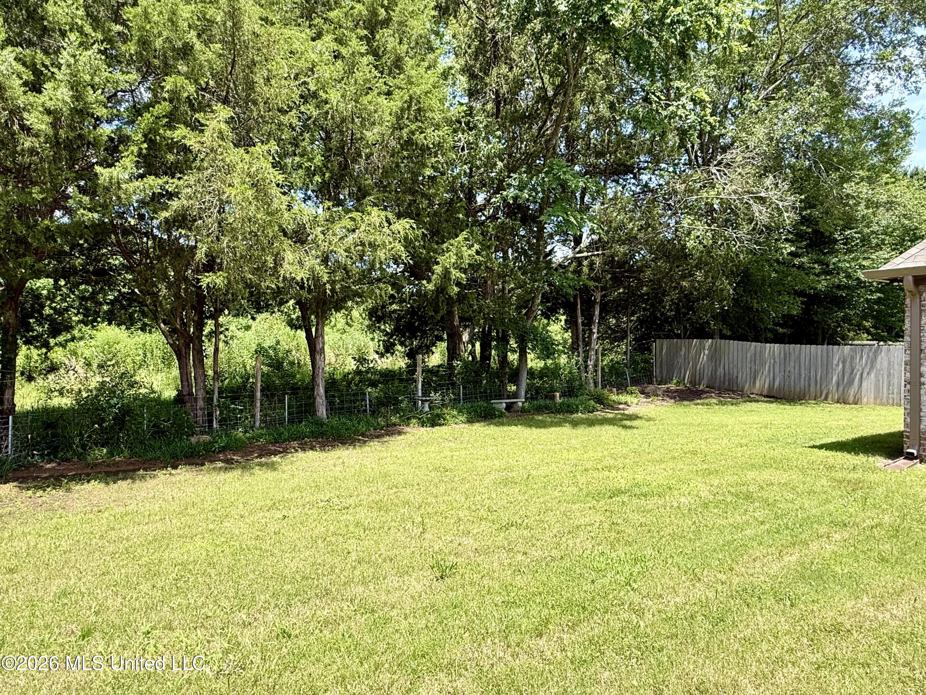 242 Falls Crossing Madison, MS 39110 - Photo 26 of 29 IMG_E9566