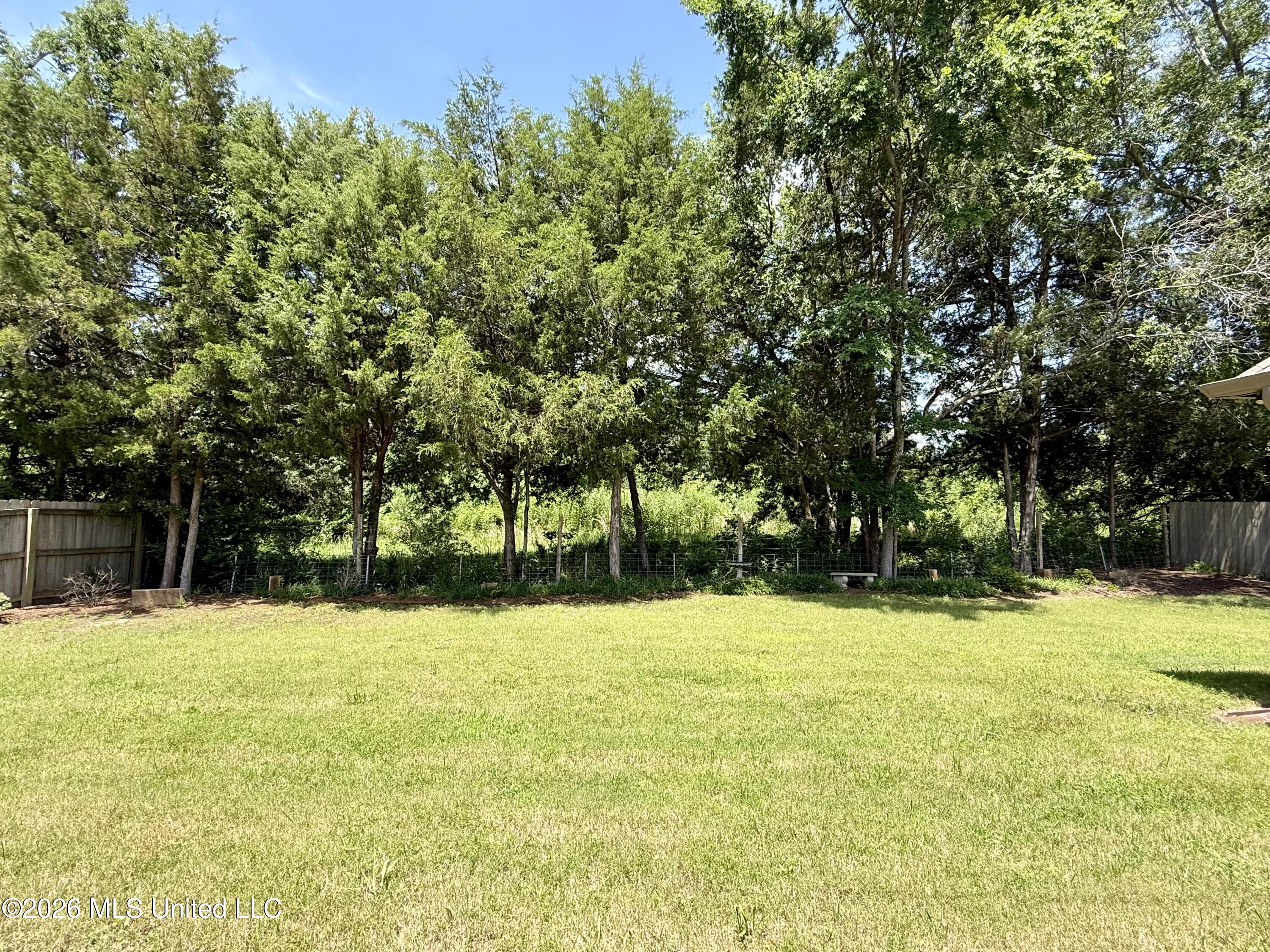 242 Falls Crossing Madison, MS 39110 - Photo 29 of 29 IMG_E9569