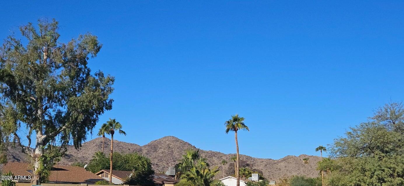 10610 South 48th Street, Unit 1064 Phoenix, AZ 85044 - Photo 5 of 14 a view of a backyard