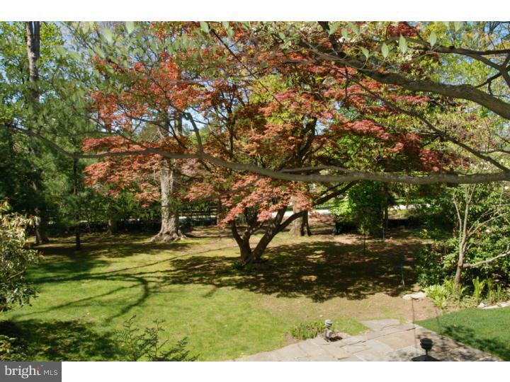 117 Sugartown Road Devon, PA 19333 - Photo 13 of 22