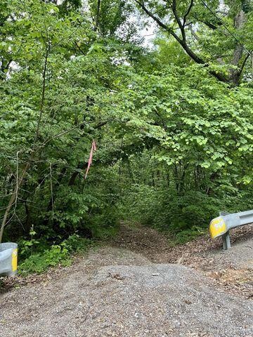 0 Cove Trail Whitwell, TN 37397 - Photo 2 of 9 a backyard of a house with lots of green space