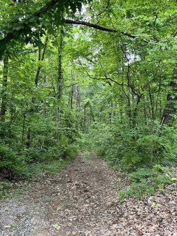 0 Cove Trail Whitwell, TN 37397 - Photo 5 of 9 a view of a lush green forest