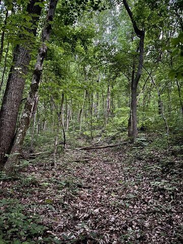 0 Cove Trail Whitwell, TN 37397 - Photo 7 of 9 a big yard with lots of green space