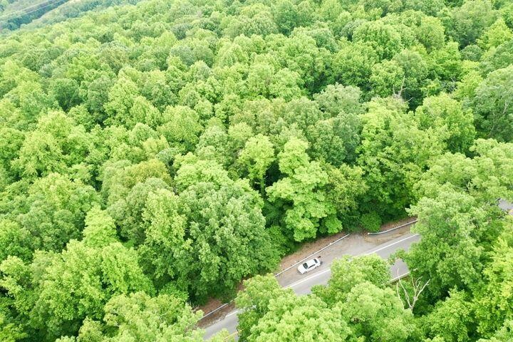 0 Cove Trail Whitwell, TN 37397 - Photo 8 of 9 a view of a lush green forest with lots of trees