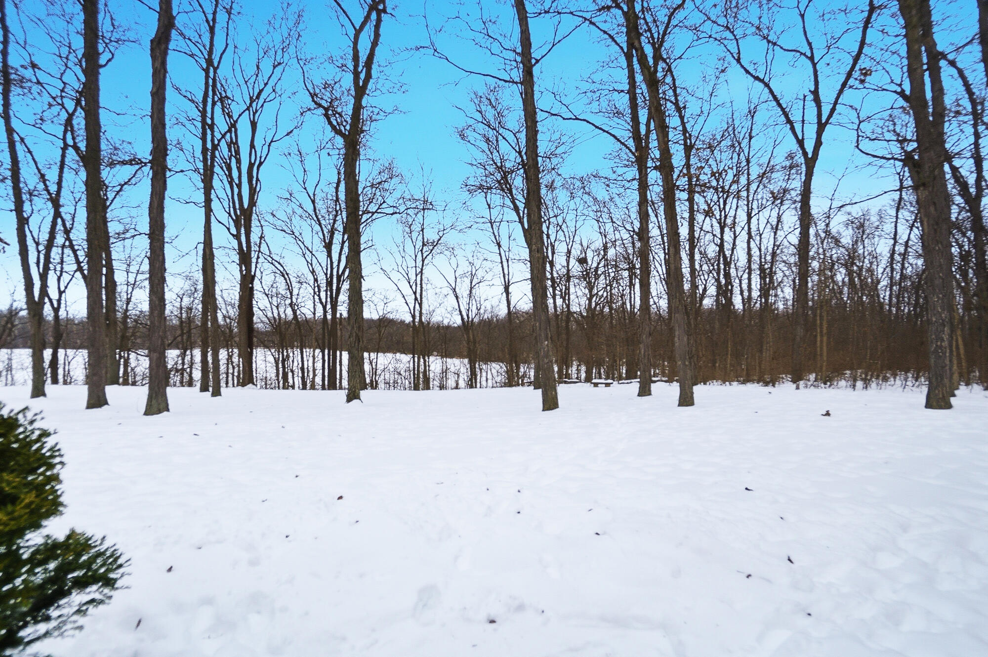 3000 South Sunderland Road Lima, OH 45806 - Photo 92 of 99
