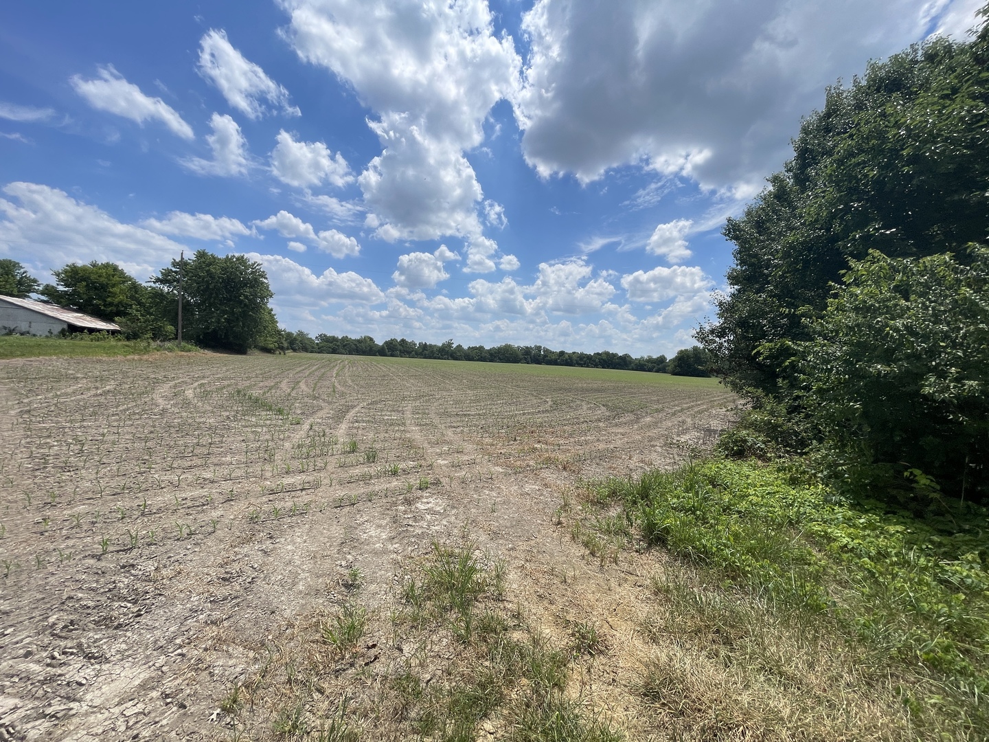 Tbd Old Bainbridge Road Marion, IL 62959 - Photo 3 of 3