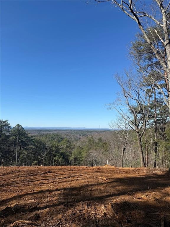 710 Railey Ridge Ranger, GA 30734 - Photo 4 of 6