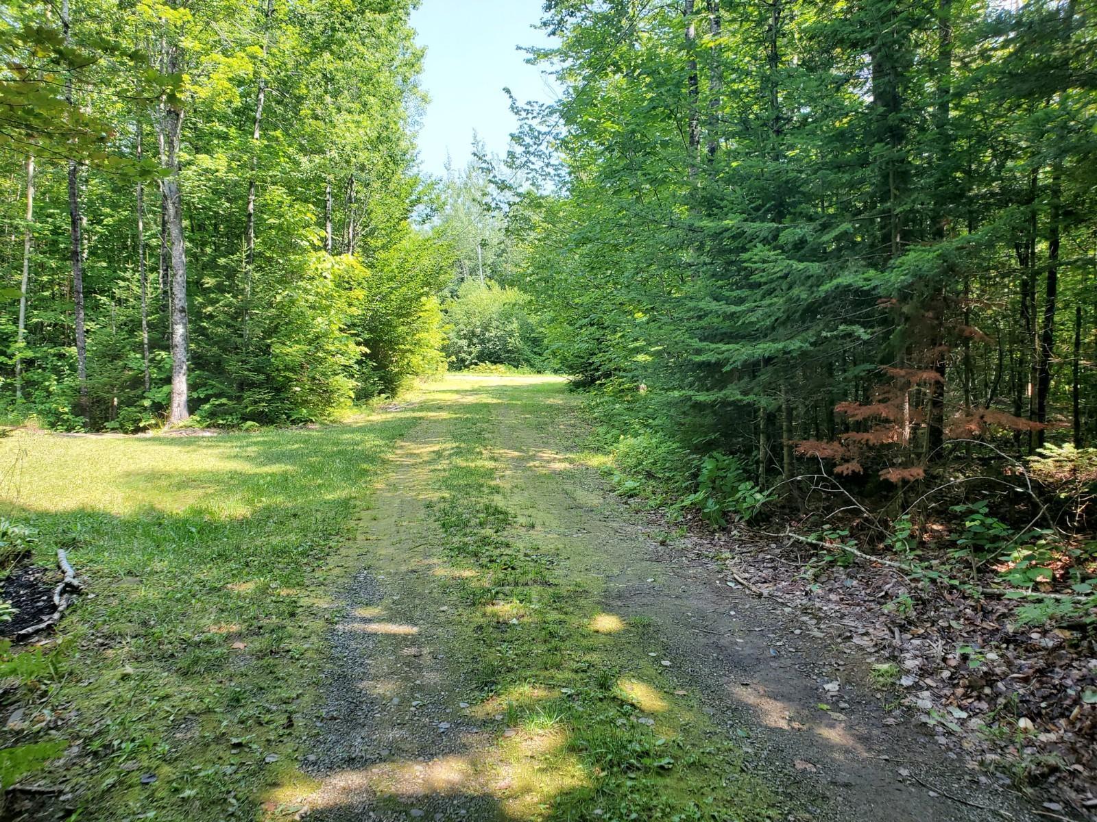 L15 Woodland Ridge Estates Road Danforth, ME 04424 - Photo 12 of 22 20210806_124405