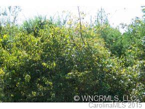 0 Hollifield Road Bostic, NC 28018 - Photo 3 of 6 a view of a bunch of trees