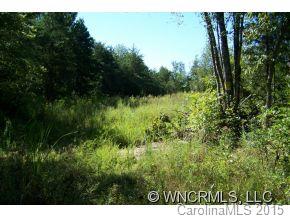 0 Hollifield Road Bostic, NC 28018 - Photo 4 of 6 a view of a lush green forest