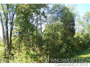 0 Hollifield Road Bostic, NC 28018 - Photo 5 of 6 a view of a tree