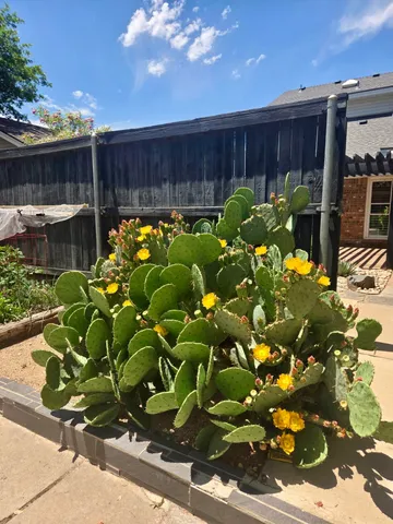 $399,900 | 5107 1st Place, Lubbock, TX 79416