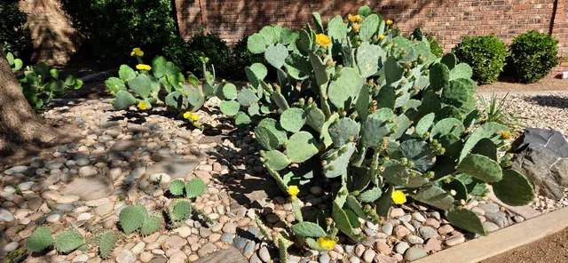 $399,900 | 5107 1st Place, Lubbock, TX 79416