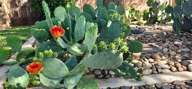 $399,900 | 5107 1st Place, Lubbock, TX 79416