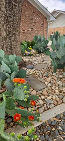 $399,900 | 5107 1st Place, Lubbock, TX 79416