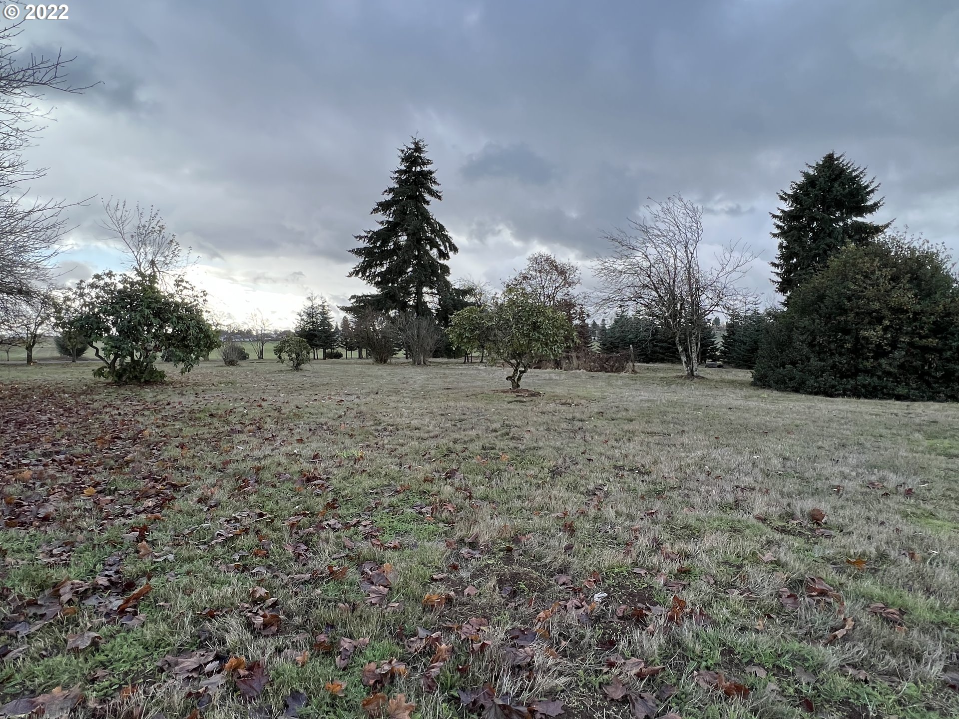 13737 Triumph Road Southeast Sublimity, OR 97385 - Photo 29 of 32 Gallery Image 29