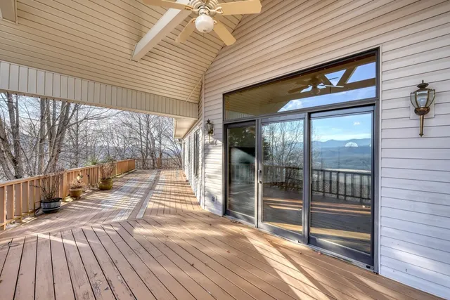 a view of a dry yard with large trees