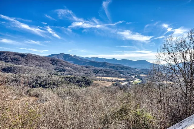a view of a forest with mountains in the background