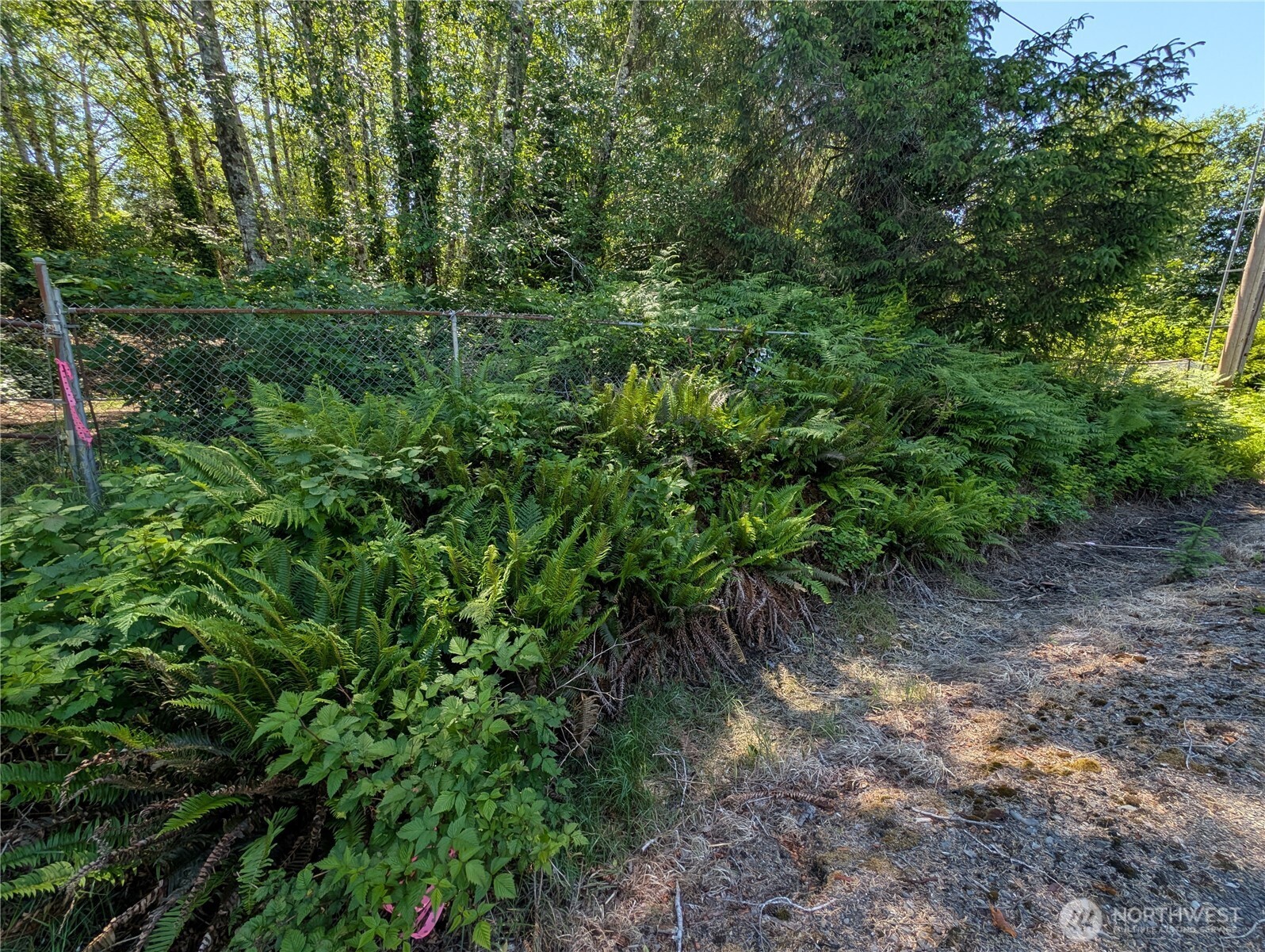 181327 Highway 101 Forks, WA 98331 - Photo 2 of 39