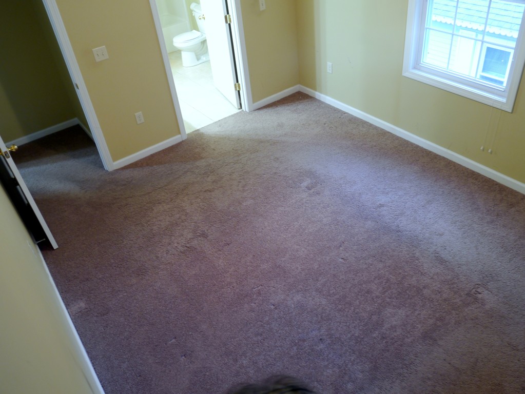 83 Superior Avenue Springfield, MA 01151 - Photo 5 of 10 Gallery Image 5