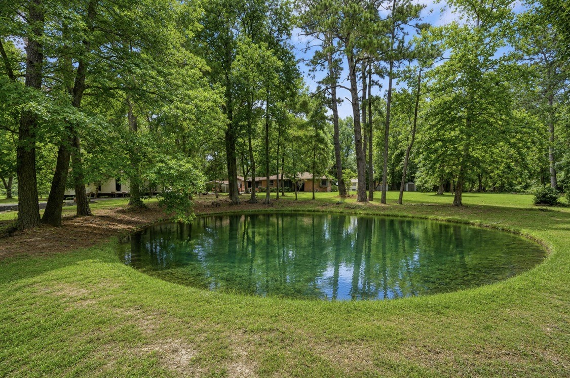 1251 Pruitt Road The Woodlands, TX 77380 - Photo 8 of 36 Private pond in front of the home