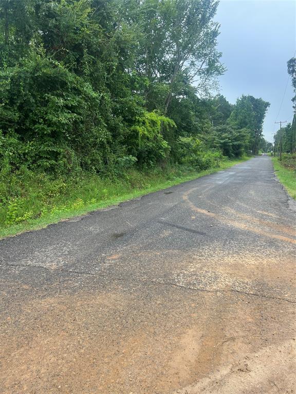 0 Albert Lewis Way Mansfield, LA 71052 - Photo 3 of 7