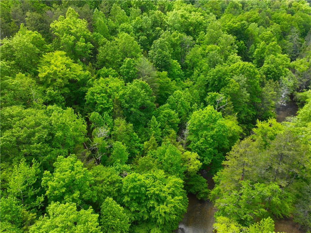 183 Chauga Valley Road Westminster, SC 29693 - Photo 12 of 31
