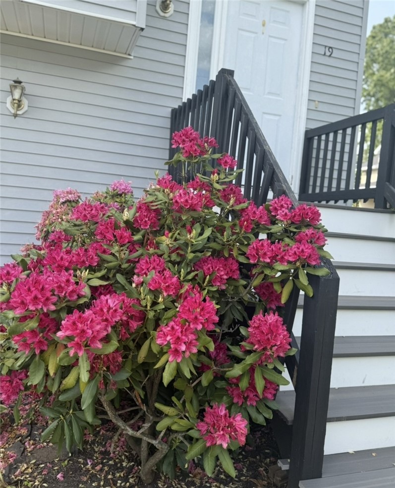 19 Marques Street Cumberland, RI 02864 - Photo 24 of 25 Front Spring Blossom
