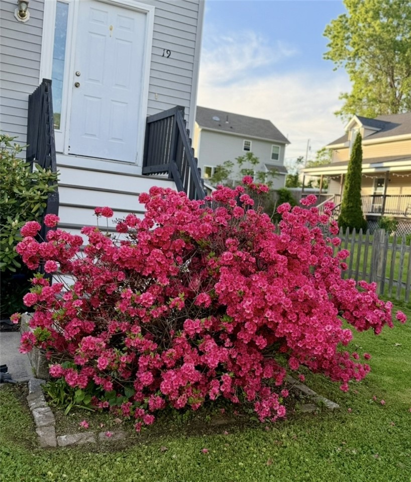 19 Marques Street Cumberland, RI 02864 - Photo 25 of 25 Front Spring Blossom