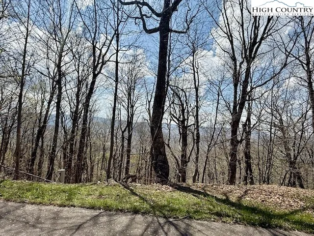 a wooden fence with large trees