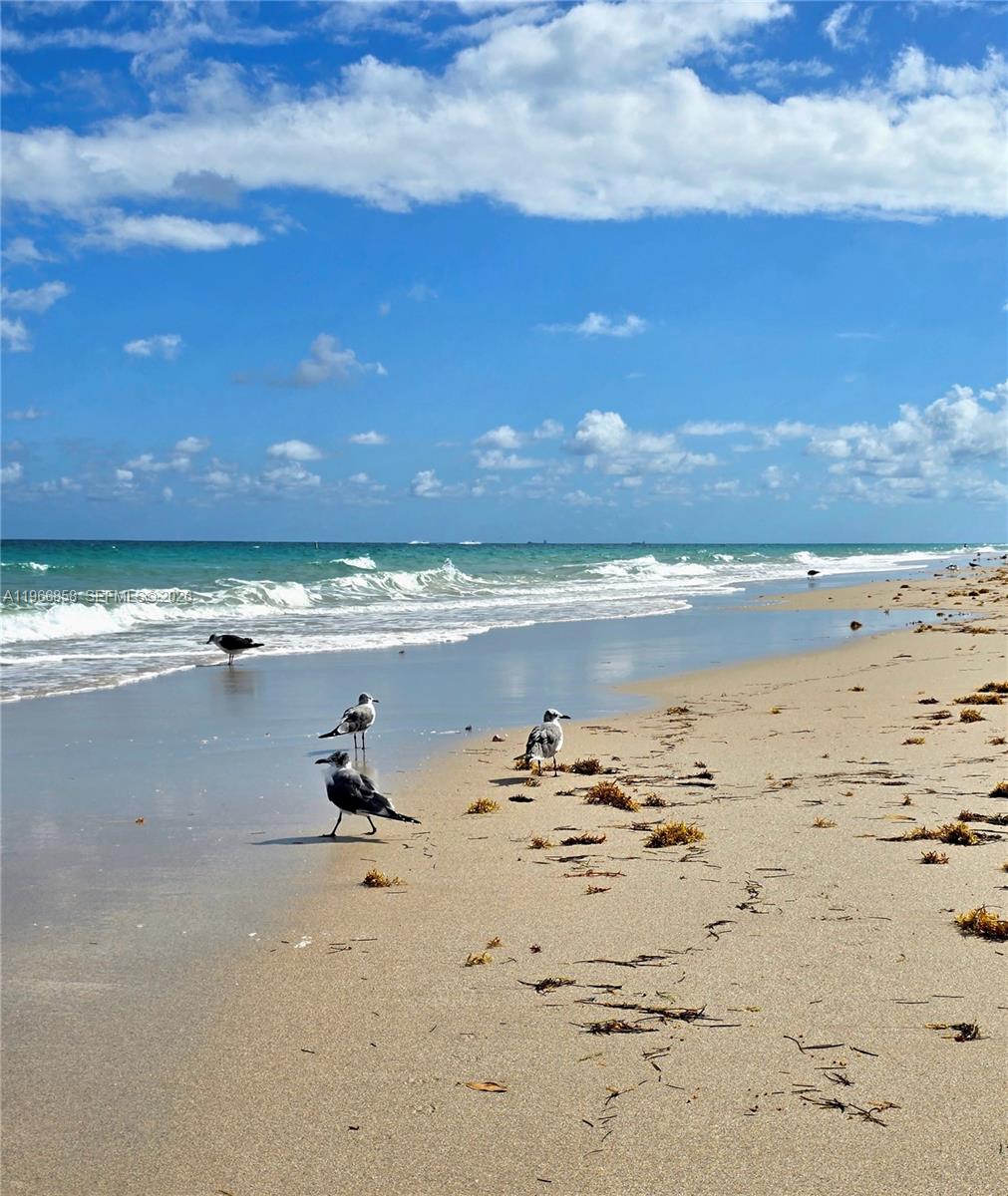 10175 Collins Avenue, Unit 208 Bal Harbour, FL 33154 - Photo 16 of 16 a view of ocean view