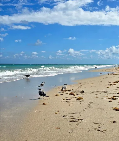 $8,500 | 10175 Collins Avenue, Unit 208, Bal Harbour, FL 33154