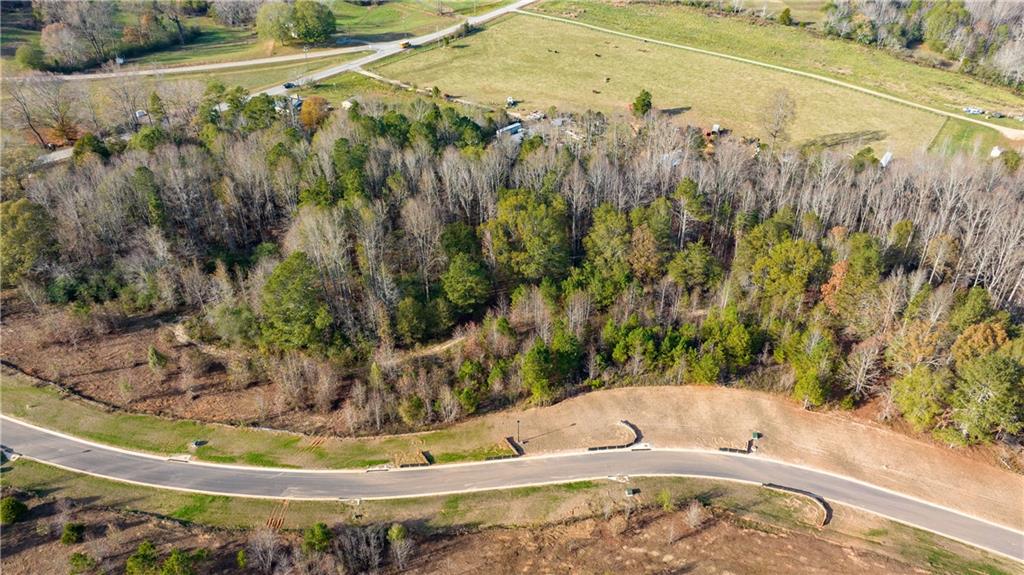 5425 Oak Manor Way Murrayville, GA 30564 - Photo 3 of 8