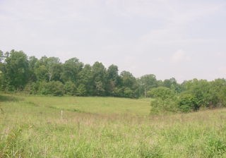 18 Jim Clark Road New Haven, KY 40051 - Photo 1 of 1 Primary Photo
