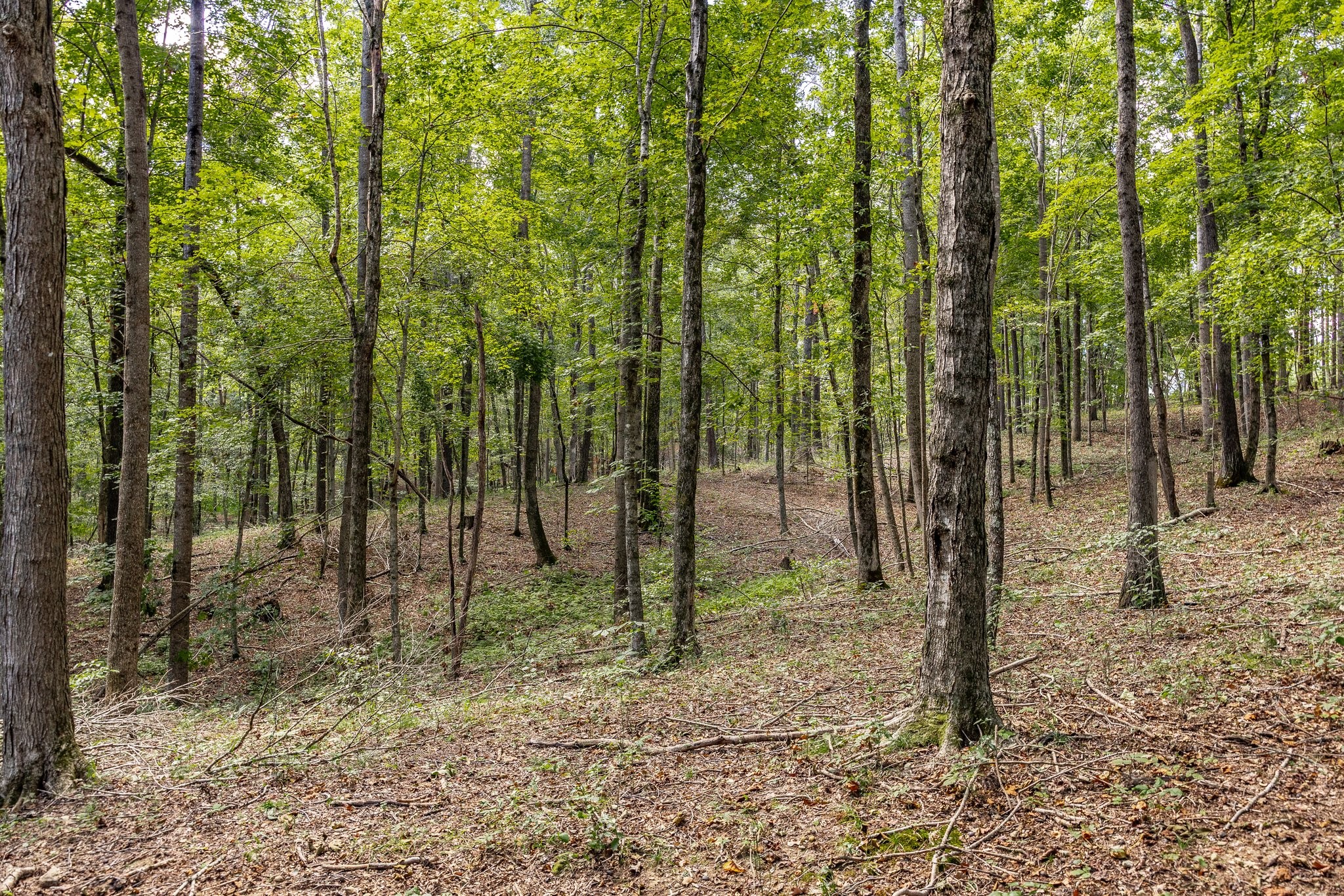 0 Keytown Road Gallatin, TN 37066 - Photo 33 of 57 Gallery Image 33