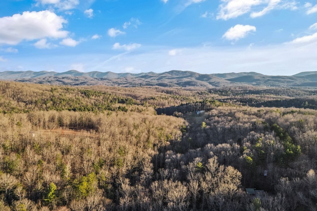 708 Thomas Mountain Road Morganton, GA 30560 - Photo 50 of 50 Gallery Image 50