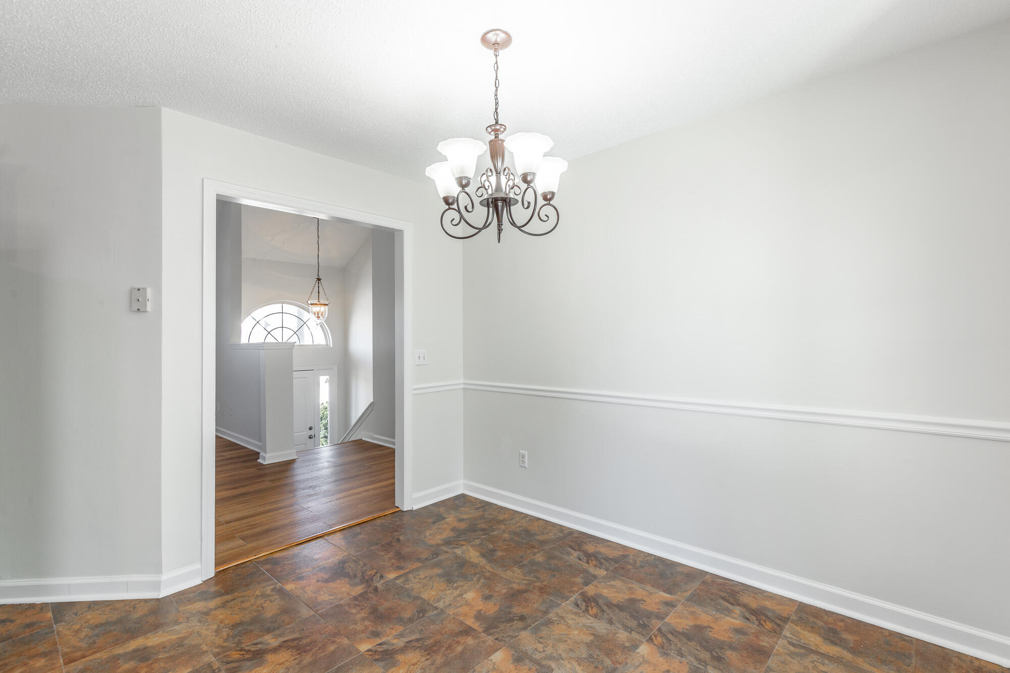 288 Spring Wind Circle Ringgold, GA 30736 - Photo 10 of 50 288 Spring Wind Circle HD-17