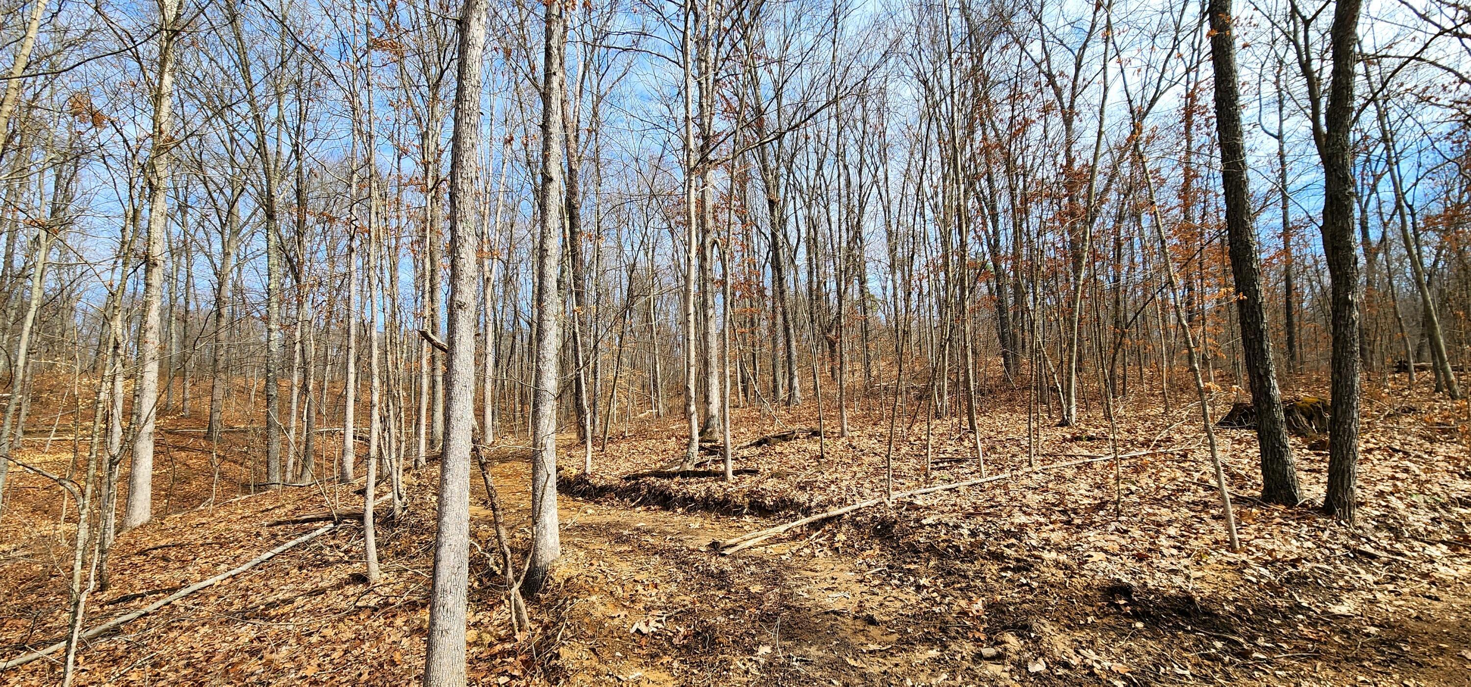 0 Edmundson Road, Unit TRACT 4 AT BIG TIMBER) Vinton, OH 45686 - Photo 33 of 67 20250307_114924
