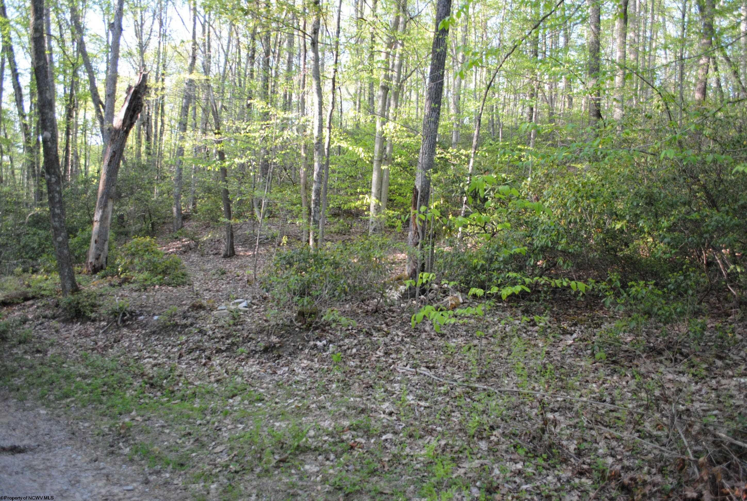 South Teter Creek Road Montrose, WV 26283 - Photo 2 of 7 Gallery Image 2