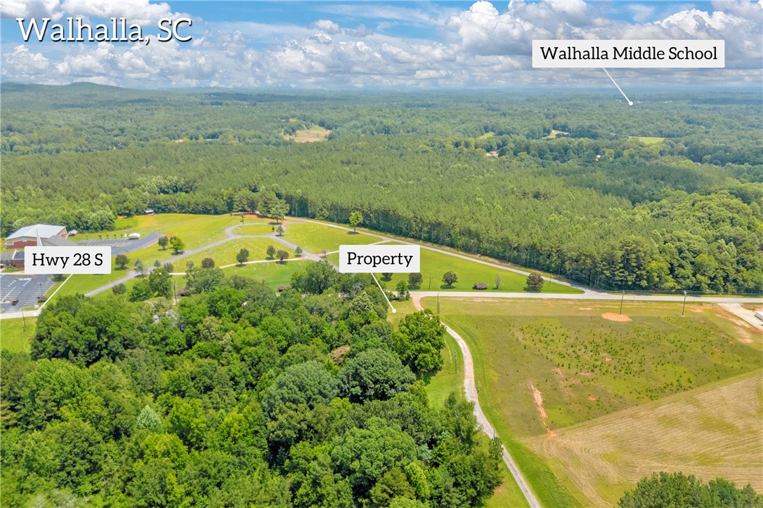 100 Newberry Road Walhalla, SC 29691 - Photo 9 of 13 Expansive rural parcel with a generous, level, and mostly clear buildable area.
