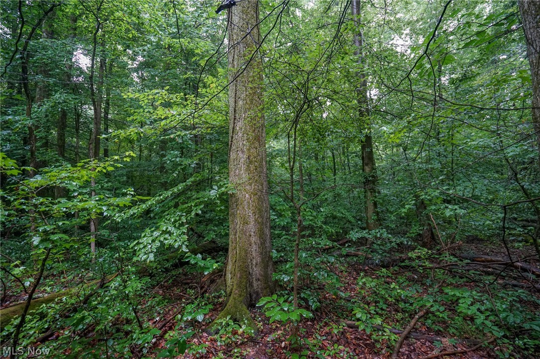 Duncanson Road Sardinia, OH 45171 - Photo 38 of 50 Gallery Image 38