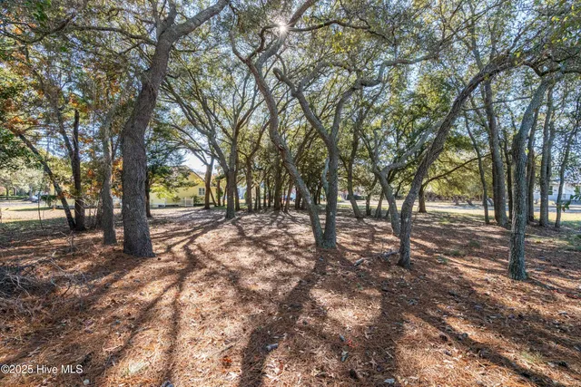 $69,538 | 2974 Lake Pointe Drive, Supply, NC 28462