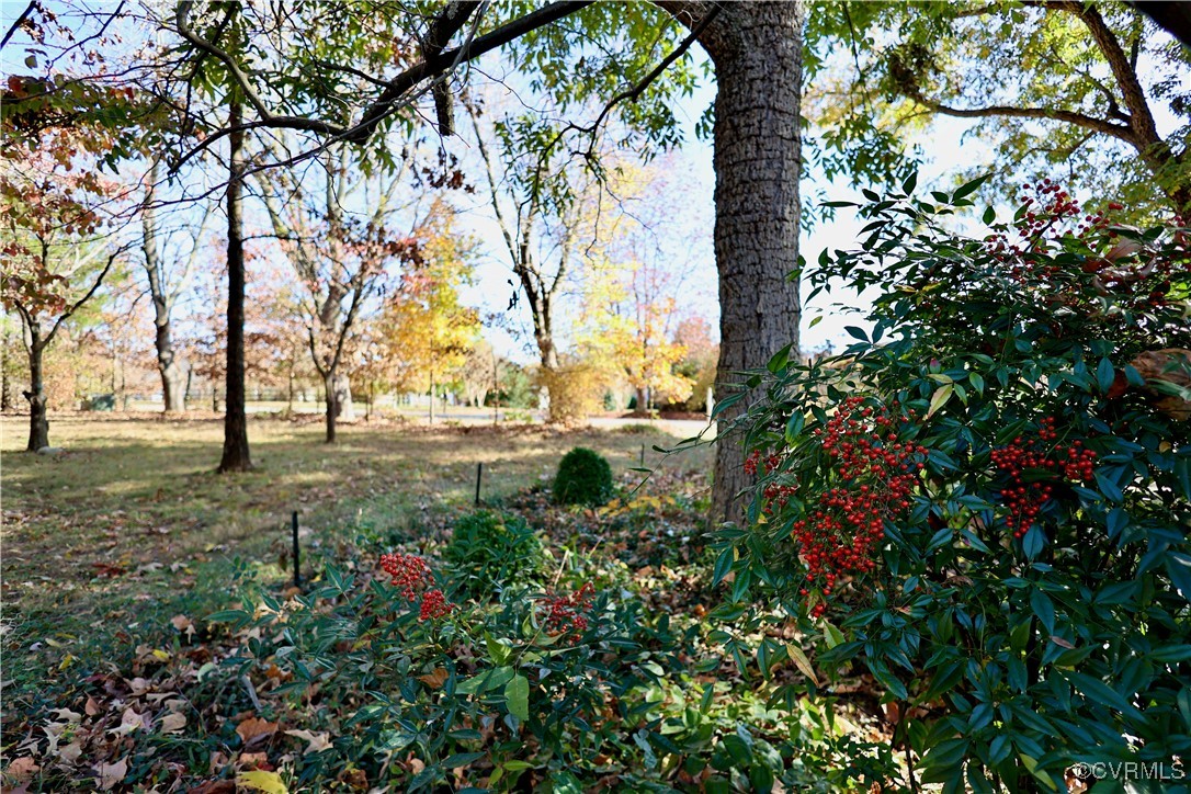 954 Lee Road Crozier, VA 23039 - Photo 32 of 49 Gallery Image 32