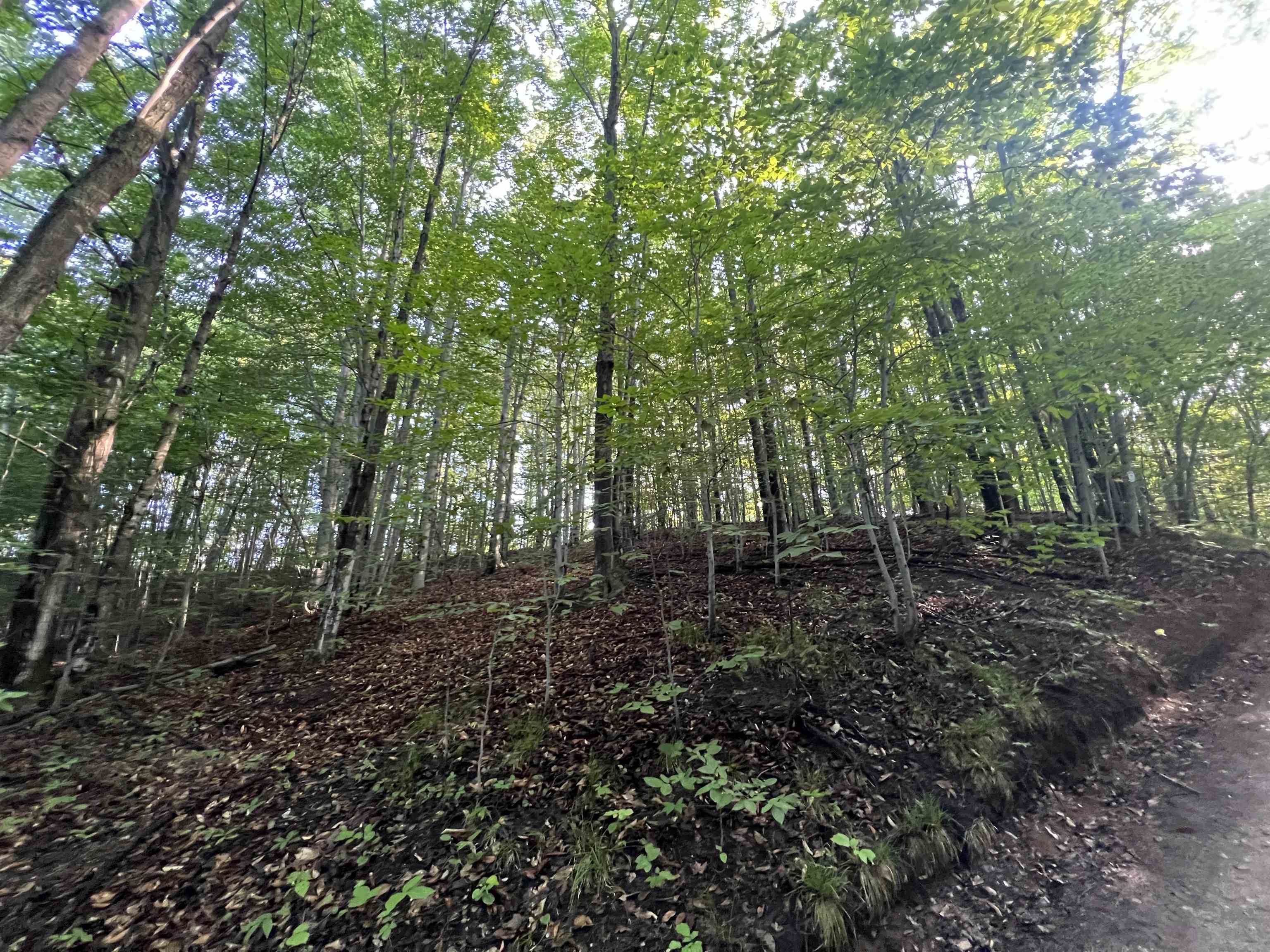 0 Narrow Gauge Road, Unit PARCEL B Beulah, MI 49617 - Photo 1 of 6