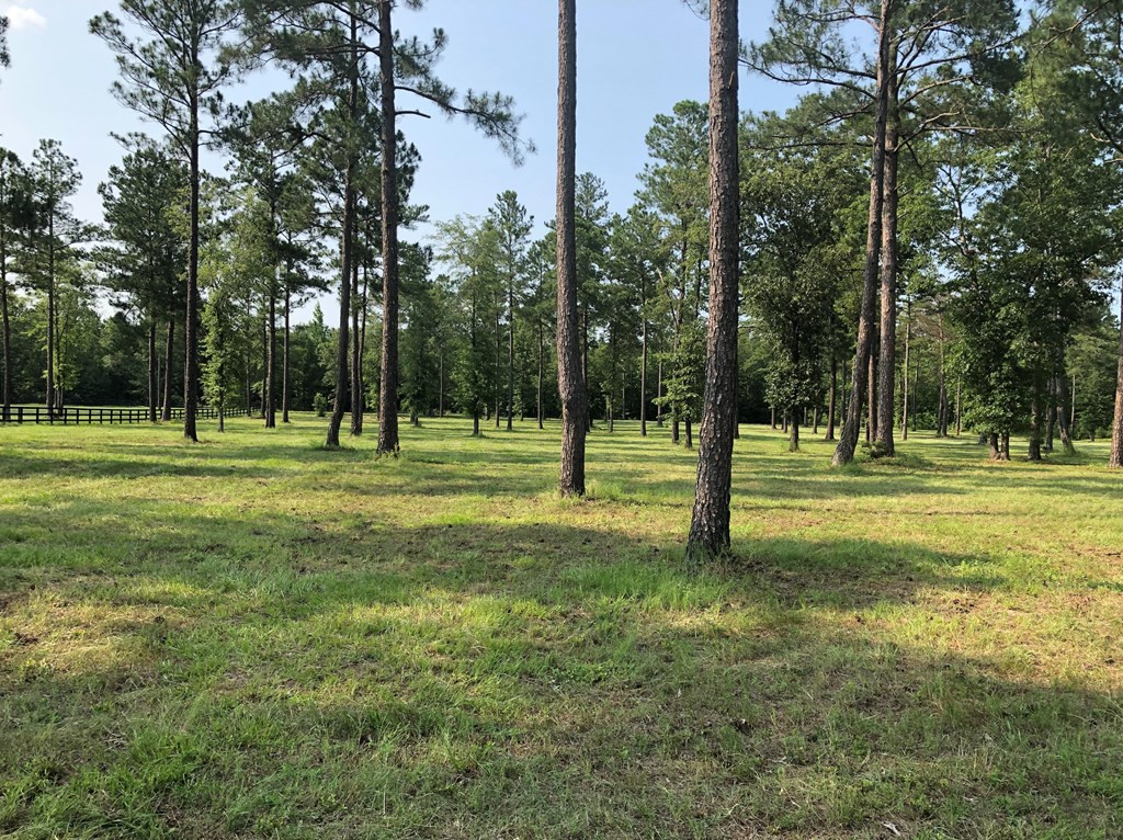 0 Rembert Place Aiken, SC 29803 - Photo 2 of 13