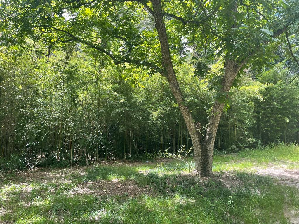0 Floyd Dothan, AL 36301 - Photo 1 of 3