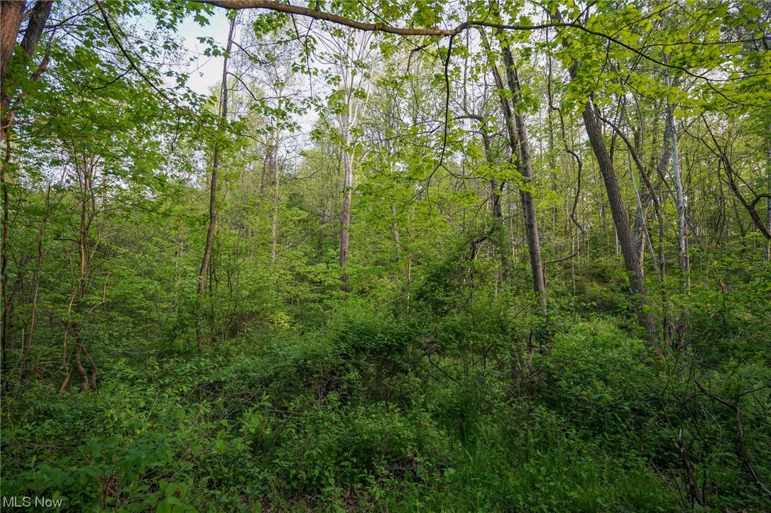 Sandusky Road Albany, OH 45710 - Photo 13 of 35 Gallery Image 13
