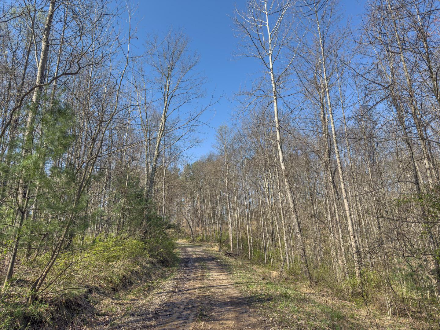 0 Cox Road Logan, OH 43138 - Photo 13 of 50 IMG_1465